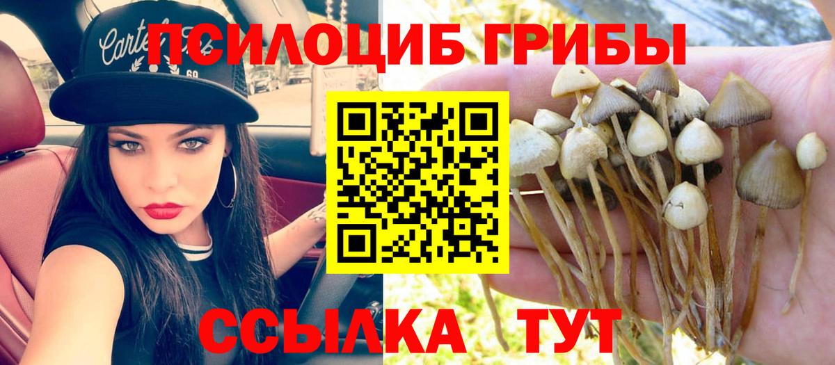 Ижевск  Псилоцибиновые грибы ЛСД  Вход с VPN 