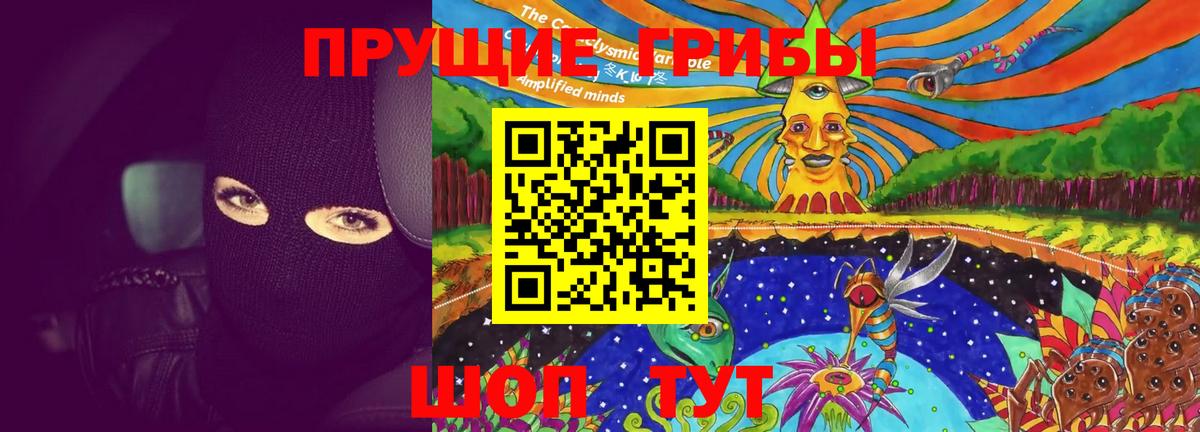 Псилоцибиновые грибы Psilocybine cubensis Ижевск